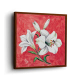 White Lily - Framed Canvas