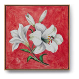 White Lily - FLOATING FRAME