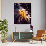 Rotterdam Philharmonic - FLOATING FRAME