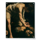 David And Goliath - Acrylic Wall Photo