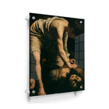 David And Goliath - Acrylic Wall Photo