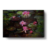Artist5 - Art - Lotus Pond Painting - Wall Canvas