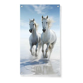 Artist5 - Art - Two White Horses Galloping - Acrylic Wall Photo