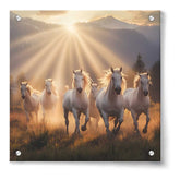 Artist5 - Art - Horses Run Through A Field - Acrylic Wall Photo