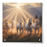 Artist5 - Art - Horses Run Through A Field - Acrylic Wall Photo