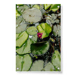 Artist5 - Art - A Pink Flower Is In The Middle - Acrylic Wall Photo