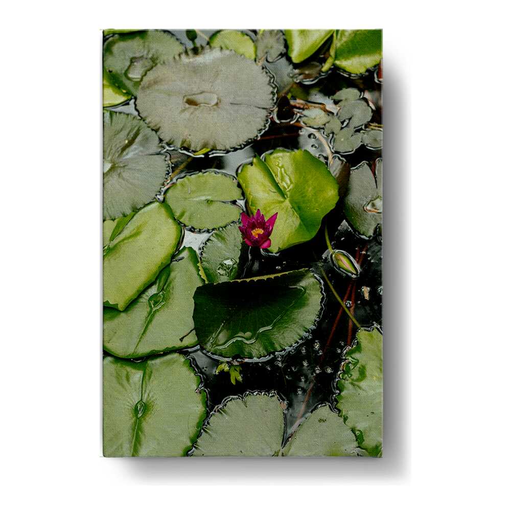 Artist5 - Art - A Pink Flower Is In The Middle - Wall Canvas