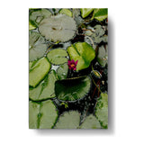 Artist5 - Art - A Pink Flower Is In The Middle - Wall Canvas