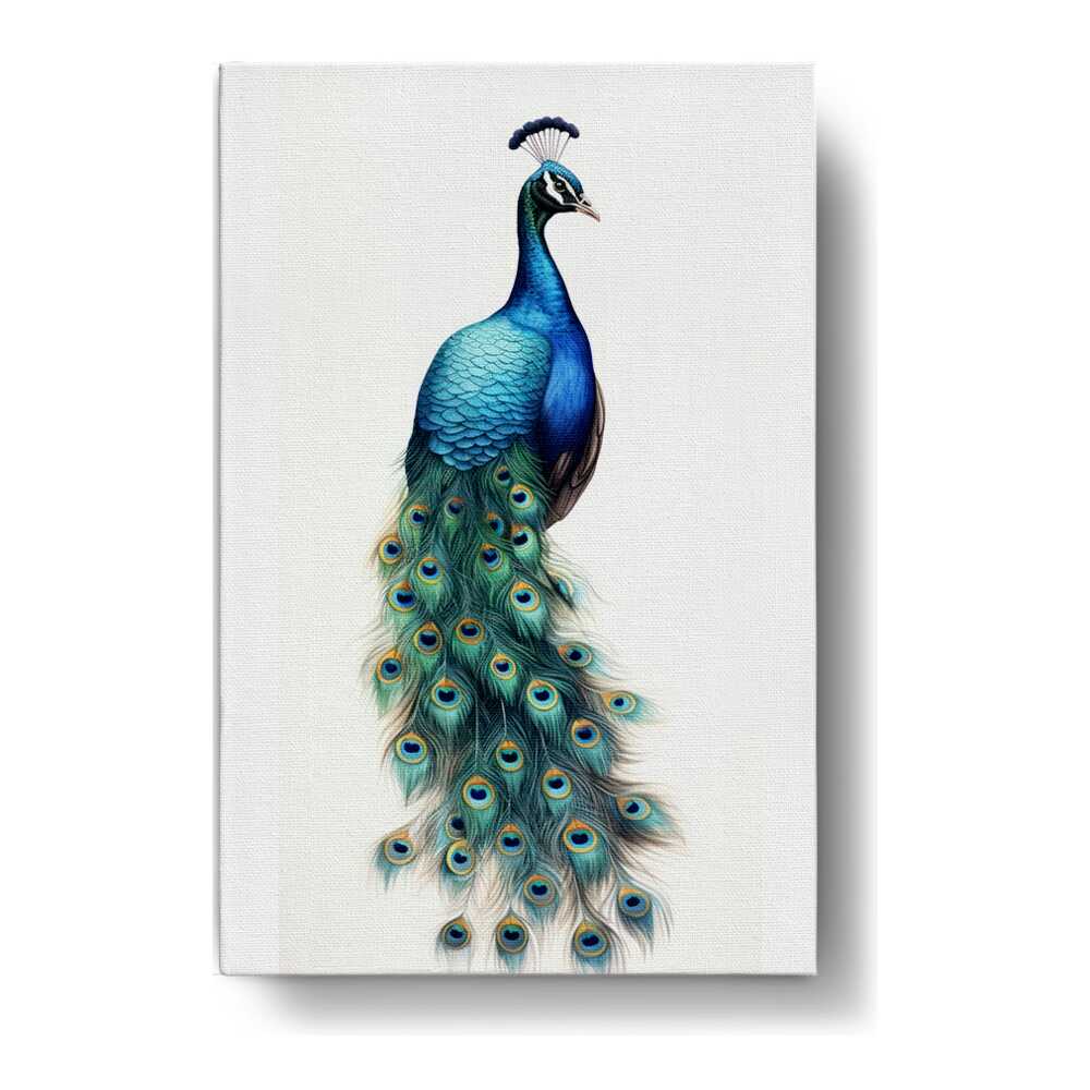 Artist5 - Art - Peacock With Feathers - Wall Canvas