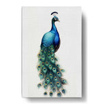 Artist5 - Art - Peacock With Feathers - Wall Canvas