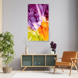 Vibrant Colors Splashed - Acrylic Wall Photo