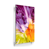 Vibrant Colors Splashed - Acrylic Wall Photo