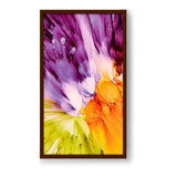 Vibrant Colors Splashed - Framed Canvas