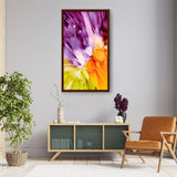 Vibrant Colors Splashed - Framed Canvas