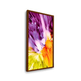 Vibrant Colors Splashed - Framed Canvas