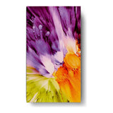 Vibrant Colors Splashed - Wall Canvas