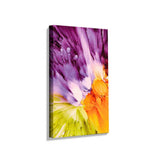Vibrant Colors Splashed - Wall Canvas