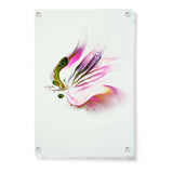 Butterfly Adorned With Flower - Acrylic Wall Photo