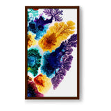 Spectrum Of Colors - Framed Canvas