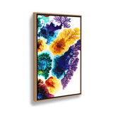 Spectrum Of Colors - FLOATING FRAME