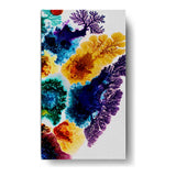 Spectrum Of Colors - Wall Canvas