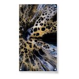 Flower In Black And White - Acrylic Wall Photo