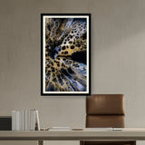 Artist5 - Art - Flower In Black And White - WALL MOUNT FRAME
