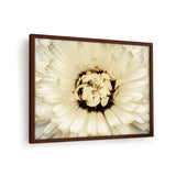 White Flower With Brown Spots - Framed Canvas