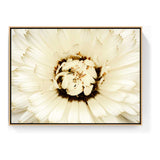 White Flower With Brown Spots - FLOATING FRAME
