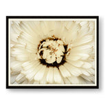 White Flower With Brown Spots - WALL MOUNT FRAME