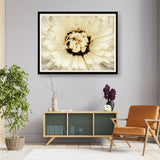 White Flower With Brown Spots - WALL MOUNT FRAME