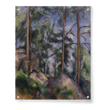 Pines And Rocks - Acrylic Wall Photo