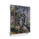 Pines And Rocks - Acrylic Wall Photo