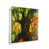 Hide And Seek - Acrylic Wall Photo