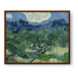 Olive Trees - Framed Canvas