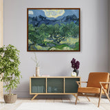 Olive Trees - Framed Canvas