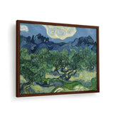 Olive Trees - Framed Canvas