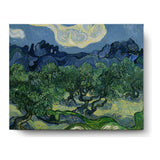 Olive Trees - Wall Canvas