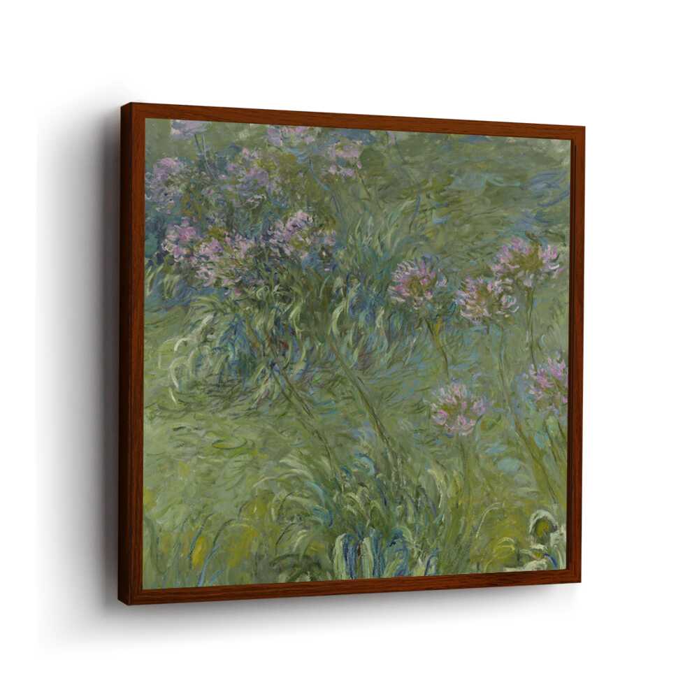 Agapanthus - Framed Canvas