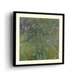 Agapanthus - WALL MOUNT FRAME