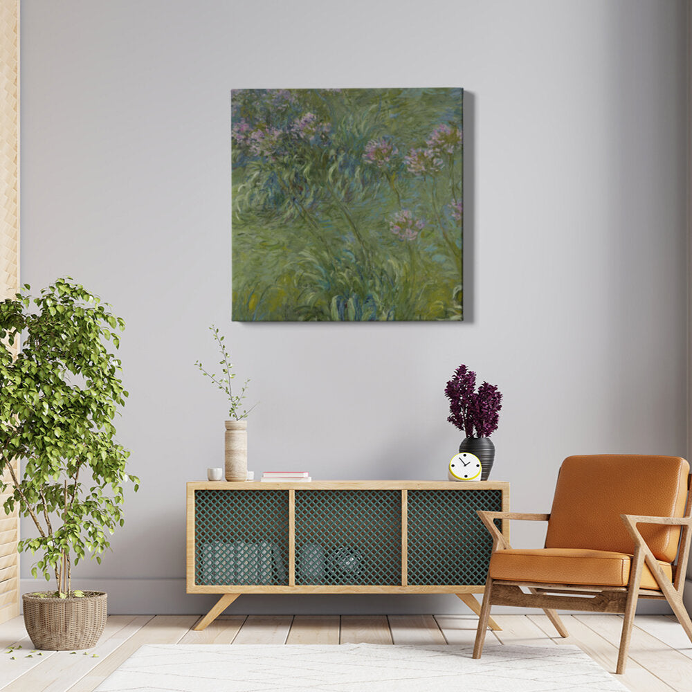 Agapanthus