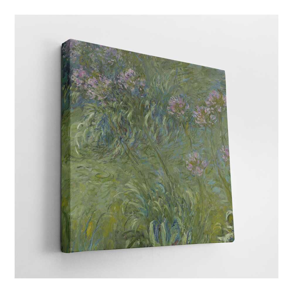 Picasoul - Picasoul Curated - Agapanthus - Wall Decor