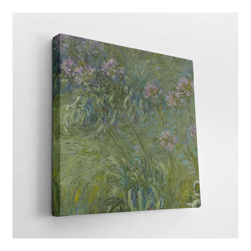 Picasoul - Picasoul Curated - Agapanthus - Wall Decor