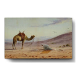 Desert Serenity - Wall Canvas