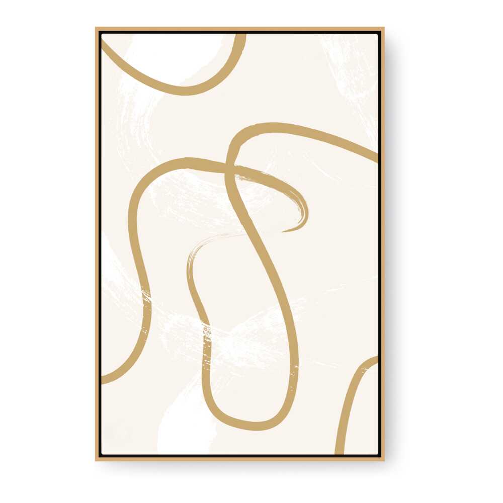 Kiran - Valipa - Abstract Flow - Floating Framed Canvas