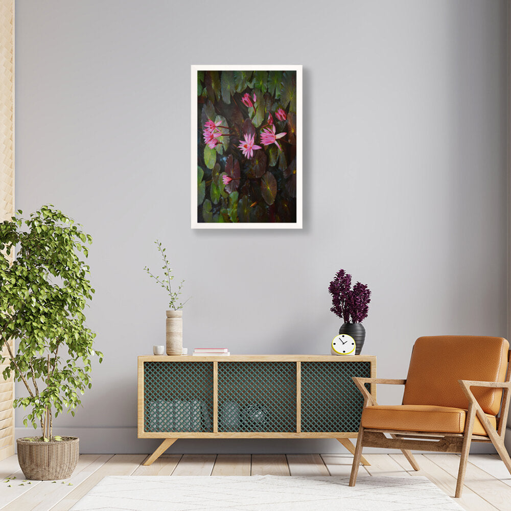 Pink Lotus, Pink Watter Lily - Framed Canvas