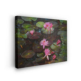 Lotus Flowers - Wall Canvas