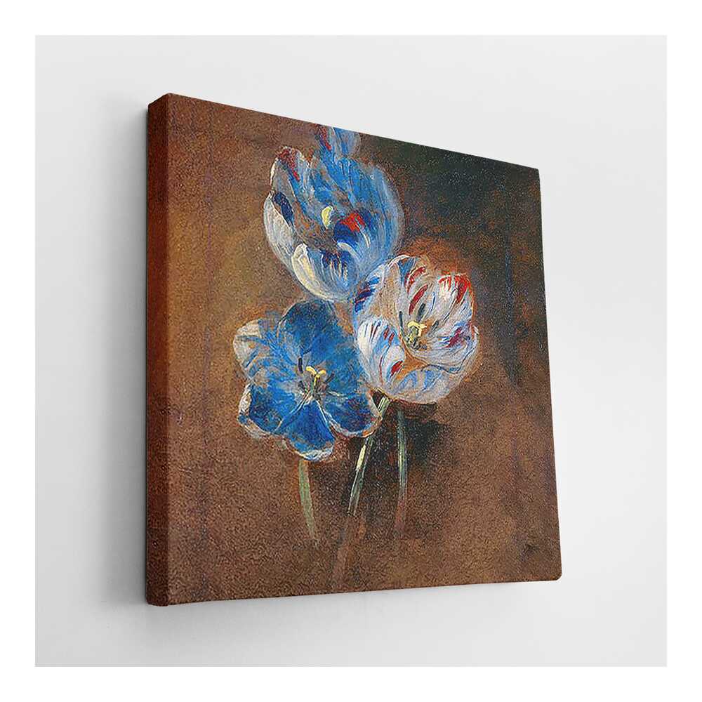 Picasoul - Picasoul Curated - Study Of Three Parrot Tulips - Wall Decor
