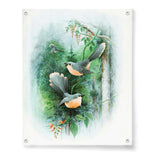 Bird Art - Acrylic Wall Photo