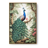 Peacock - FLOATING FRAME
